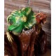 Teak Basking Iguanas Sculpture