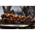 Musical Croaking Frog Statuette 2 Inch