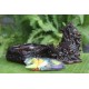 Deafening Roar Incense Holder