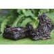 Deafening Roar Incense Holder