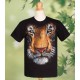 Gentle Tiger T Shirt