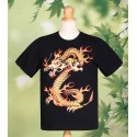 Dragon Fire T Shirt
