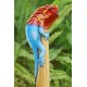 Bamboo Incense Iguana Holder Red With Blue Body