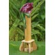 Bamboo Incense Iguana Holder Purple with a Green Body
