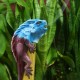 Bamboo Incense Iguana Holder Blue with a Purple Body