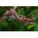 Brown Dragon Mobile