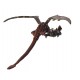 Nam Tan Dragon Mobile