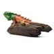 Exotic Reptile Driftwood Sculpture  