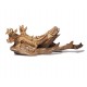 Natural Teak Dragon Centerpiece Fantasy East Asian Sculpture