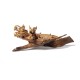 Natural Chinese Dragon Twin Statue