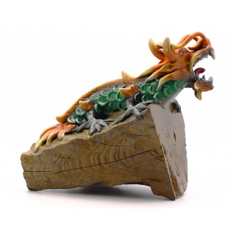 Reptile Teak Driftwood Dragon 