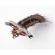 Brown Eagle Mobile