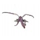 Purple Dragon Mobile