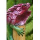 Bamboo Incense Iguana Holder Purple with a Green Body
