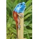 Bamboo Incense Iguana Holder Blue with a Red Body