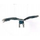 Blue Eagle Mobile 