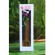 Bamboo Incense Iguana Holder Green with a Red Body