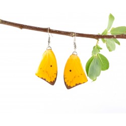 Yellow Tail Butterfly Wing Earrings