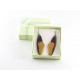 Black Yellow Dragonfly wing Earrings