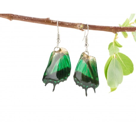 Green Swallow Tail Butterfly Wing Earrings