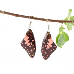 Real Butterfly Wing Pink Pathysa Antiphates Earrings