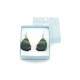Real Butterfly Wing Backtail Green Earrings