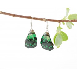 Real Butterfly Wing Backtail Green Earrings