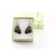 Real Green Tiger Back Tail Butterfly Wing Earrings