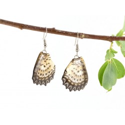 Real Butterfly Wing Hindtail Gradient Earrings