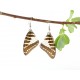 Real Butterfly Wing Pathysa Antiphates Earrings
