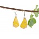 Real Butterfly Wing Earrings Transparent Sulphur Yellow Forewing 