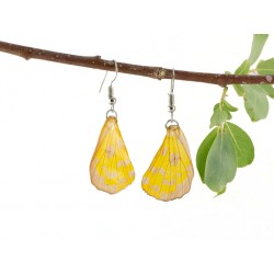 Real Butterfly Wing Earrings Transparent Sulphur Yellow Forewing 