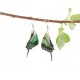 Real Butterfly Wing Green Swallow Tail Earrings 