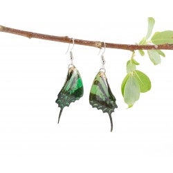 Real Butterfly Wing Green Swallow Tail Earrings 