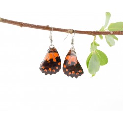 Real Butterfly Wing Orange Sunset Earring