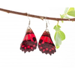 Red Forwing Real Butterfly Wing Earring 