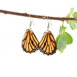 Real Butterfly Wing Monarch Backtail Earrings