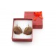Real Butterfly Wing Natural Brown Swallow Tail Earrings