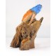 Iguana Indigo Blue Sunset Orange Crawling Teak