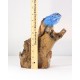 Iguana Indigo Blue Sunset Orange Crawling Teak