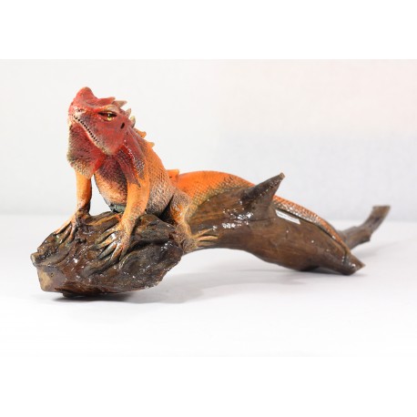 iguana 2