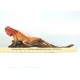 Iguana Reptile Crimson Red with Sunset Orange Body