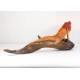 Iguana Reptile Crimson Red with Sunset Orange Body