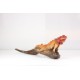 Iguana Reptile Crimson Red with Sunset Orange Body