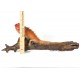 Iguana Rusty Fox Red 