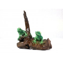 iguana 4