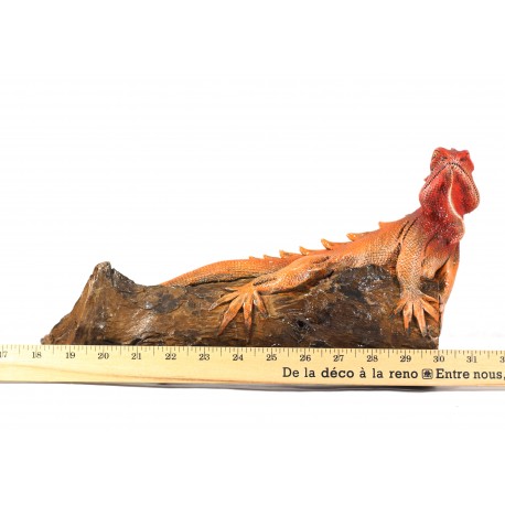 Iguana Vermeil Rouge on Teak Root