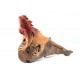 Iguana Vermeil Rouge on Teak Root