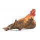 Iguana Vermeil Rouge on Teak Root