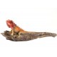 Crawling Maroon Red Iguana 